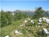 planina_blato - Pršivec